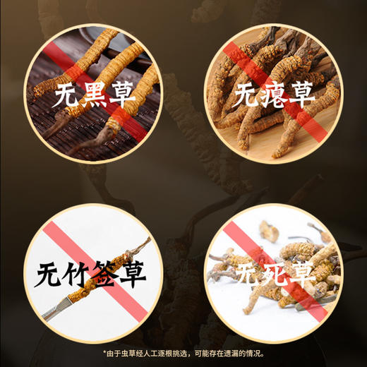 雷允上冻干冬虫夏草2g/瓶（-50） 商品图3