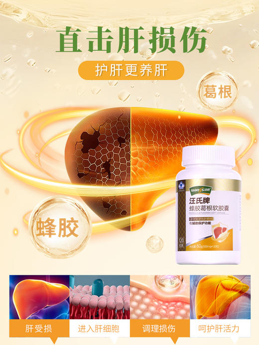 汪氏蜂胶葛根胶囊护肝片女性男士养肝熬夜保健 商品图2
