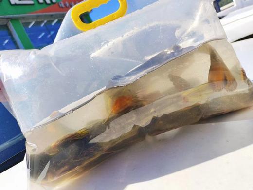 牛Yi巴子三斤 商品图1