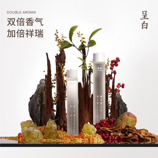 呈白瓷瓶花尊香插|随意摆养眼又好闻，福禄聚宝好运装回家 商品图2