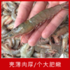 【海鲜】野生硬壳虾 约250g/份 商品缩略图1