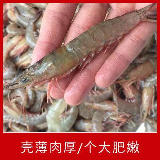 【海鲜】野生硬壳虾 约250g/份 商品图1