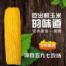 寒疆果都东北甜糯玉米10根箱装2000克 原味鲜香 软糯又鲜嫩
