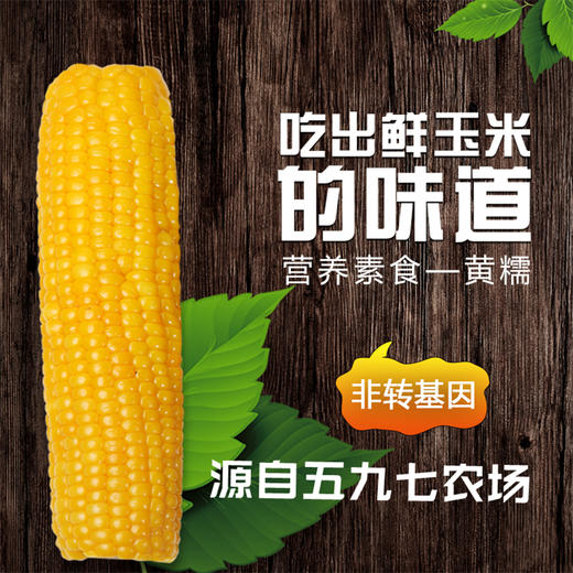 寒疆果都东北甜糯玉米10根箱装2000克 原味鲜香 软糯又鲜嫩 商品图0