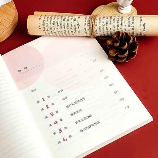 写给自闭症儿童父母的101条小贴士女孩篇 孤独症特殊教育 儿童教育家庭教育指导操作性手册 商品图6