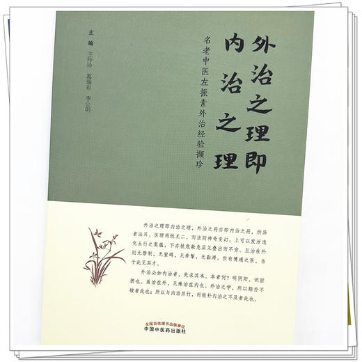 外治之理即内治之理 王玲玲 葛瑞彩 李公明 主编 中国中医药出版社 商品图3