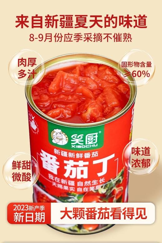笑厨番茄丁 商品图0