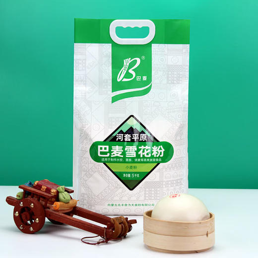 兆丰内蒙河套平原雪花粉麦芯粉无钠包子馒头饺子面条烙饼面粉 雪花粉5kg（商超同款） 商品图1