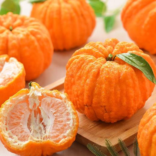 东坡恋橘南瓜柑 约1kg/份 商品图0