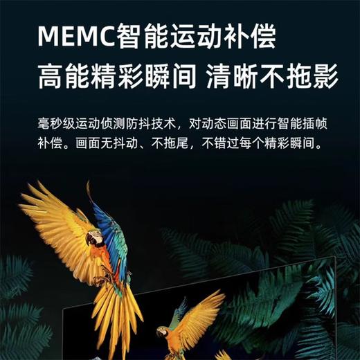 海信75H55E 75英寸4K智能远场语音MEMC防抖商用企业采购液晶平板电视 商品图3