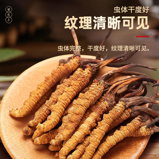 雷允上冻干冬虫夏草2g/瓶（-50） 商品图1
