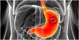  胃的“第一修复剂”竟是它！常吃养出“黄金胃”，到老胃也不垮 