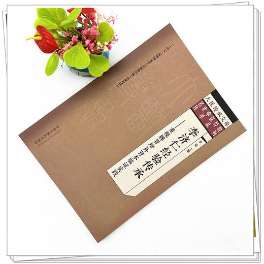 李济仁经验传承 重视脾胃培补肾本临证实践 李艳 主编 中国中医药出版社 大医传承文库. 名老中医经验传承系列 商品图1