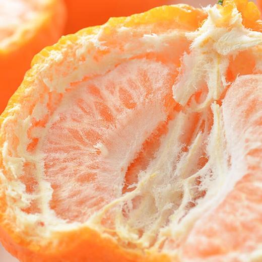 东坡恋橘南瓜柑 约1kg/份 商品图2