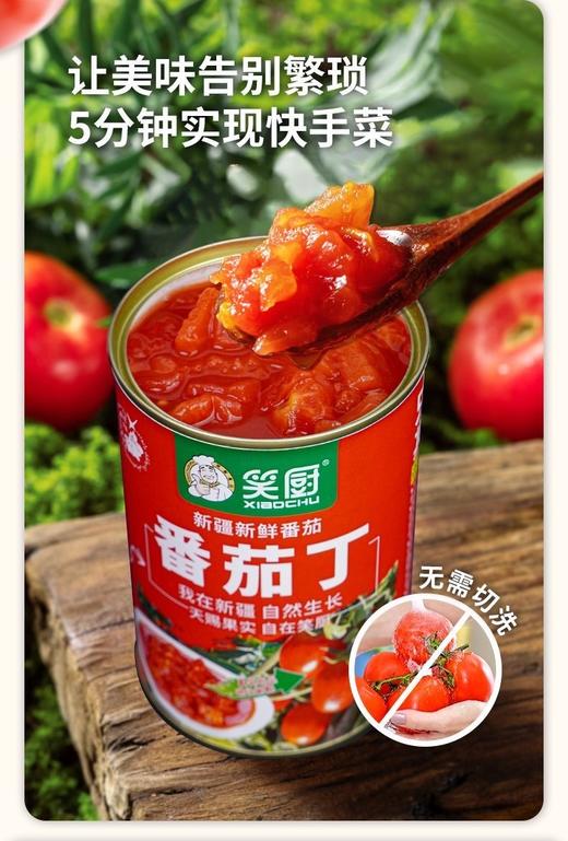 笑厨番茄丁 商品图1