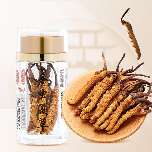 雷允上冻干冬虫夏草2g/瓶（-50） 商品图0