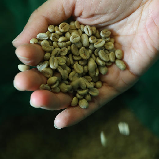 尝味无限珍藏限量系列 · 手冲精品咖啡豆 商品图9