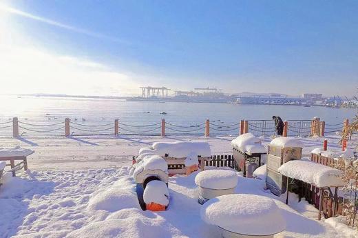 【春节寒假】看雪海\吃海鲜\赶大集\泡温泉\住五星\逛古城,五天四晚,威海亲子自驾|5~15岁亲子 商品图2