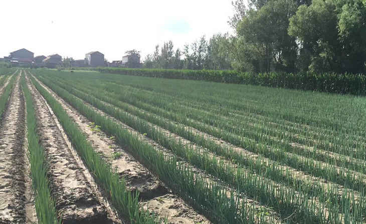 胡志强6_副本 胡志强6_副本