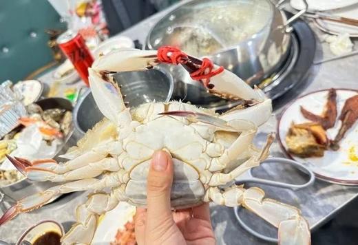 【春节寒假】看雪海\吃海鲜\赶大集\泡温泉\住五星\逛古城,五天四晚,威海亲子自驾|5~15岁亲子 商品图6