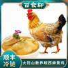 百食轩 安徽散养皖西麻黄鸡母鸡 高端彩袋彩箱装 （国家地理标志产品） 商品缩略图0