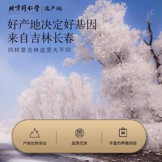 【正宗同仁堂品牌】北京同仁堂 青源堂 鹿茸白粉片20克 严选吉林  蜡圈厚实分明 主角切片 蜂窝孔细密SY 商品图2