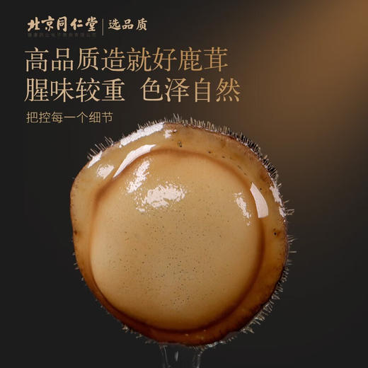 【正宗同仁堂品牌】北京同仁堂 青源堂 鹿茸白粉片20克 严选吉林  蜡圈厚实分明 主角切片 蜂窝孔细密SY 商品图1