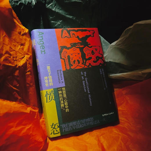 愤怒  一部关于情绪的冲突史 芭芭拉·H.罗森宛恩 著 历史 商品图1