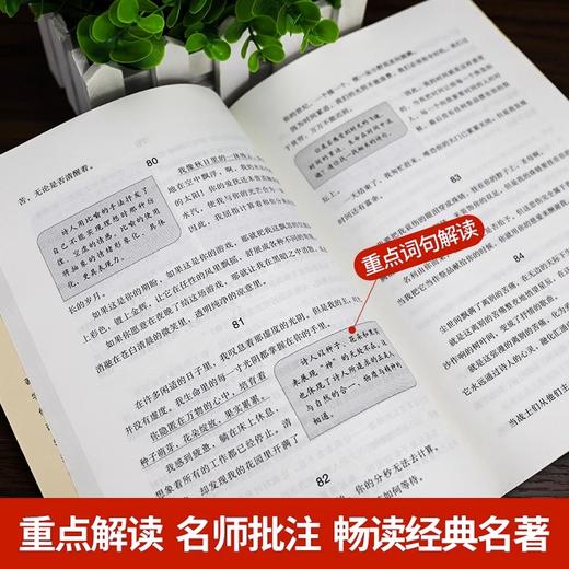 全本名著·课程化阅读丛书 泰戈尔诗选 非塑封 商品图2