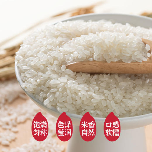 袁谷隆平芯米岁穗稻香礼盒4kg 五常大米500g*8袋 年货节日礼盒送长辈 商品图1