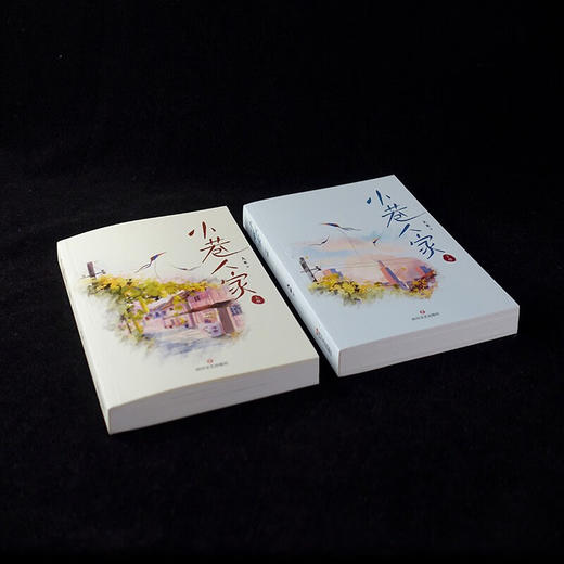 小巷人家 大米 著 小说 商品图3