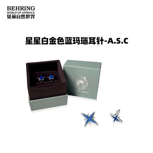 贝林自然世界星星白金色蓝玛瑙项链手链耳钉 商品图1