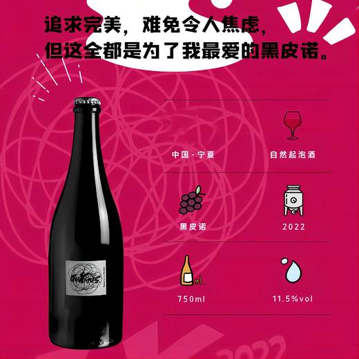 Domaine le Moodie Ba-ZING-GAA! /Anxious/Elixir 雷神高泡/焦虑/解药葡萄酒 商品图3