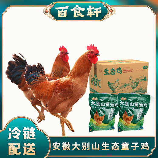 百食轩 安徽大别山黄油童子鸡2只 彩袋彩箱装 商品图0