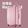 银座加厚结实耐用行李箱大容量旅行拉杆箱拉链箱密码箱A8953L 商品缩略图1