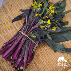 生态红菜苔 | 绿家自产 * Ecological red choy sum | In-House Production