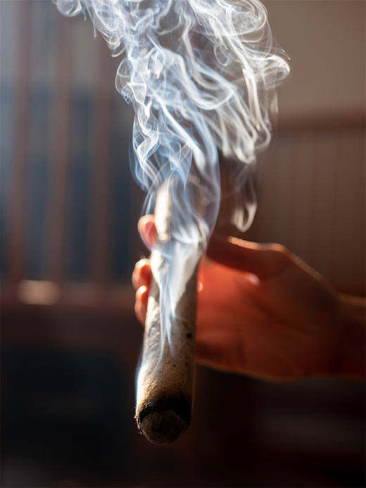 秦岭野艾条 商品图4