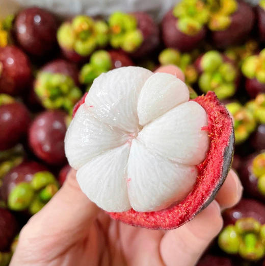泰国老树一级果山竹，3A，约3斤/份 商品图0