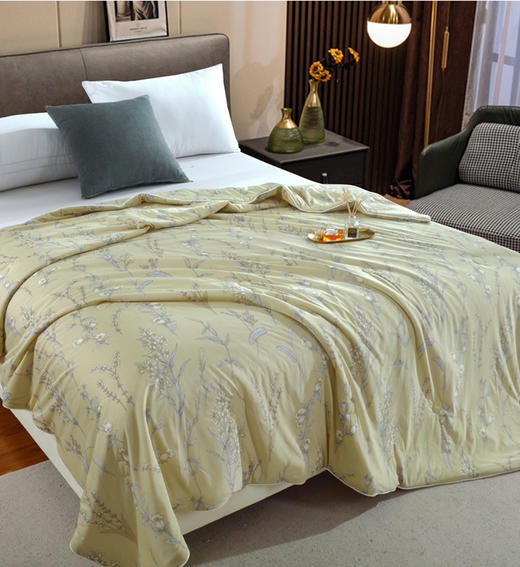 【欧典梦娜】漫时光丝柔棉夏被 商品图1