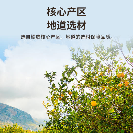 雷允上橘皮130g/罐 商品图1