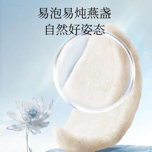 【正宗同仁堂品牌】北京同仁堂 干燕窝(金标款)印尼-30克 燕窝干盏 孕妇滋补 可溯源 送礼盒SY 商品图2