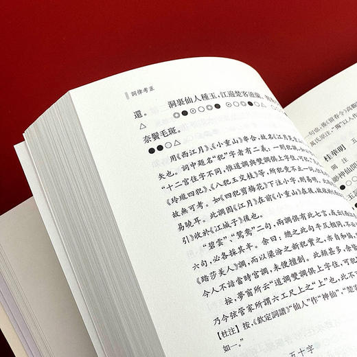 词律考正 《钦定词谱考正》姊妹篇 蔡国强著 整理校正清代学者万树《词律》 词谱学语言文字研究 商品图8