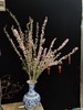 粉色珍珠李鲜切花1扎 商品缩略图3