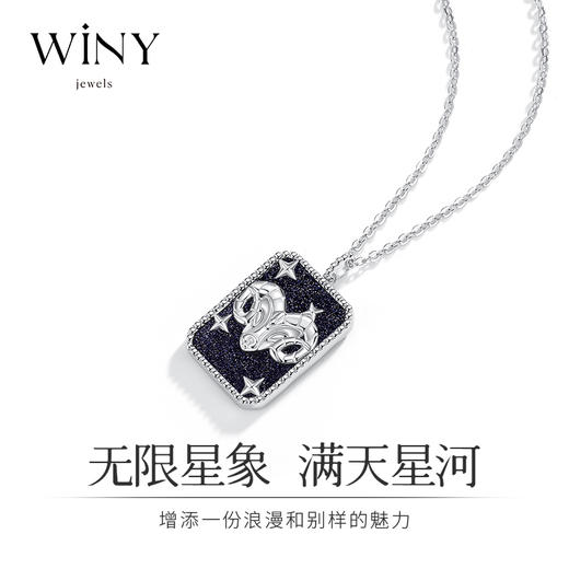 Winy925纯银十二星座系列项链送女友闺蜜老婆爱人节日生日礼物 商品图3