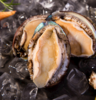 【海鲜】鲜活10头鲍鱼/个 商品缩略图0