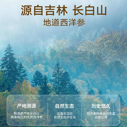 【正宗同仁堂品牌】北京同仁堂 国产西洋参 黑金标 1号 2.0-3.0cm 100克  送礼盒 源自长白山 自然晾晒 片片均匀主根正切SY 商品图2