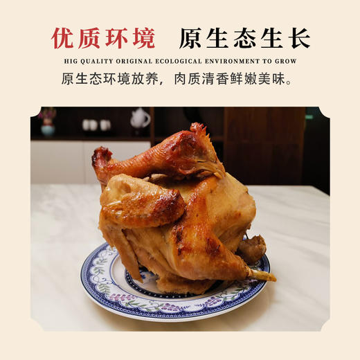 丰硒农业--丰硒土鸡1只装（1.8~2斤） 商品图3