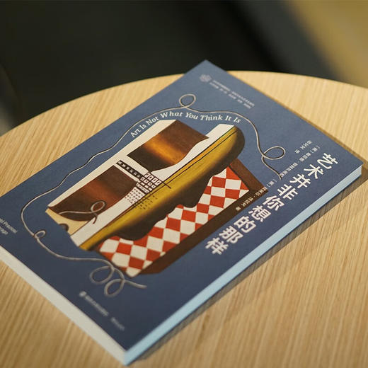 艺术并非你想的那样 唐纳德·普雷齐奥西 著 艺术理论与评论 商品图4