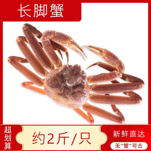 【海鲜】鲜活阿拉斯加长脚蟹（2.2-2.3斤/只） 商品图1