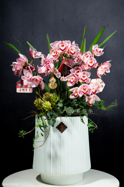 24GL03026 商品图0